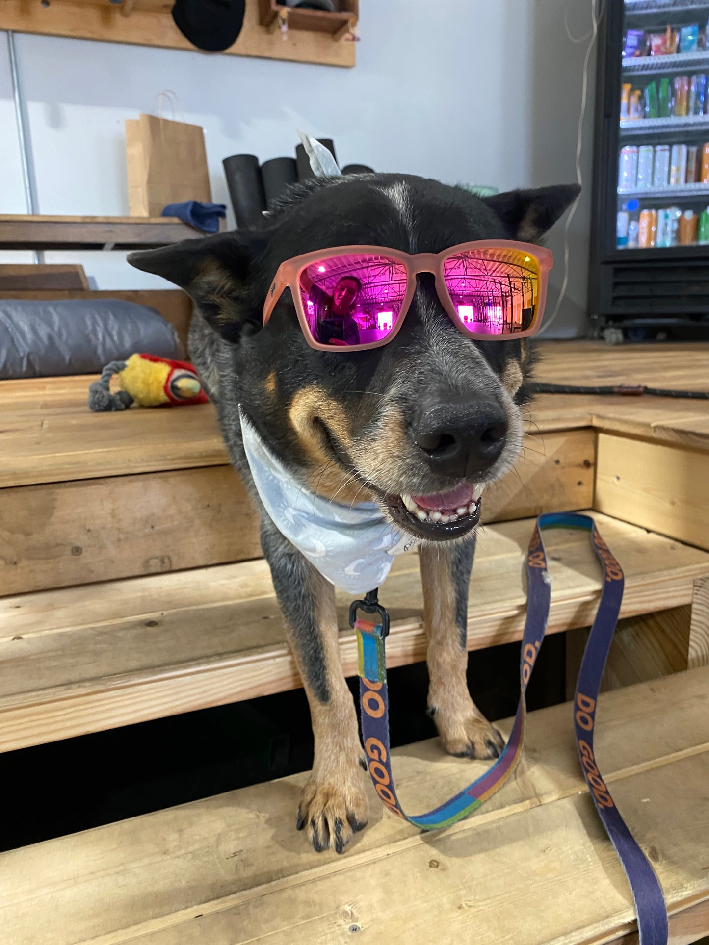 GoodR Sunglasses
