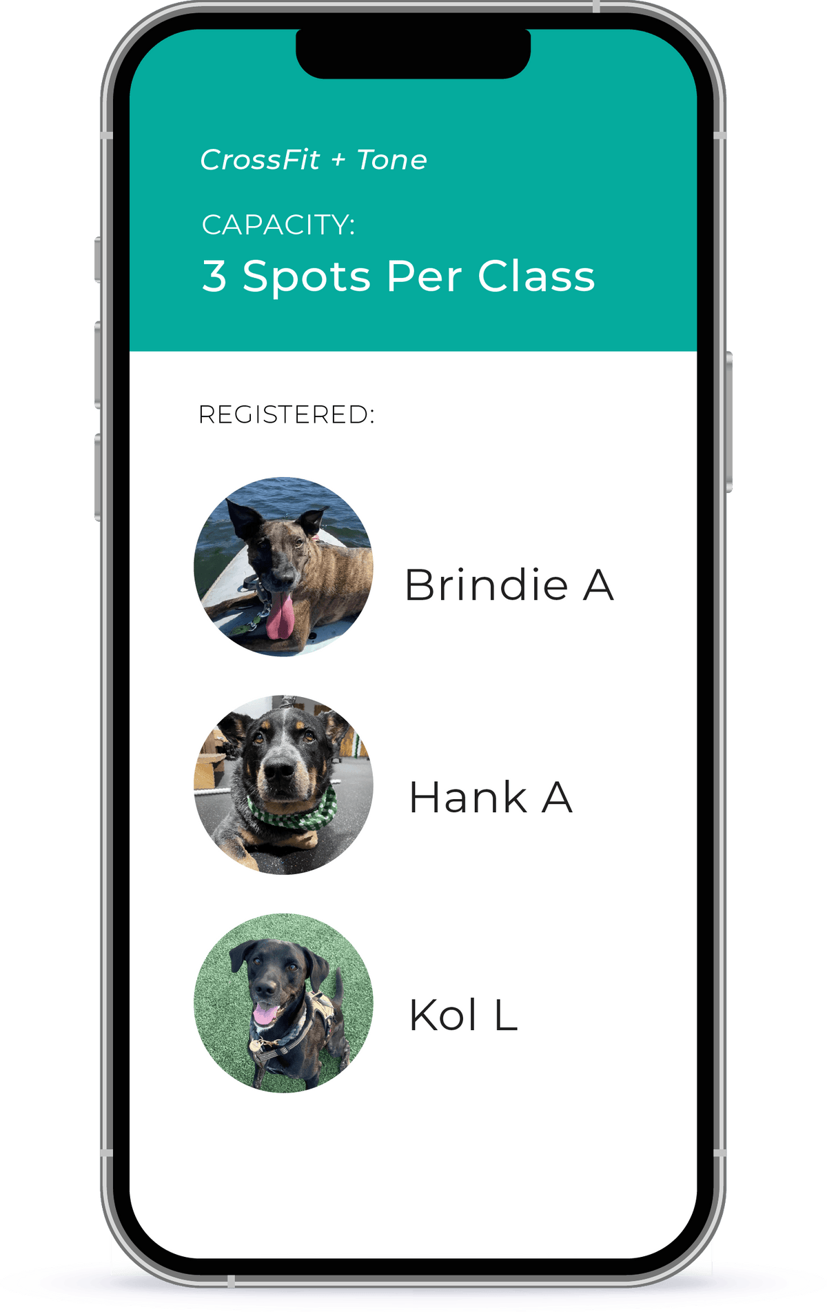 Dogs signed up during class